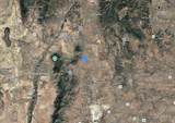 45 Sheepdog Lane - Photo 4