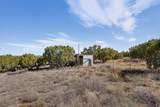 1302 Amarante Road - Photo 49