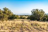 64 Chisholm Trail - Photo 13