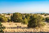 64 Chisholm Trail - Photo 15