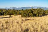 64 Chisholm Trail - Photo 3
