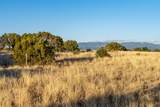 64 Chisholm Trail - Photo 7