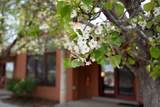 68 Avenida De La Paz - Photo 31