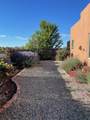 7 Caballo Viejo - Photo 63