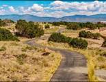 7 Caballo Viejo - Photo 67