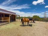 171 Silver Hills - Photo 2