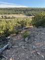 TRD Nm 96 - Photo 12
