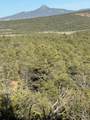 TRD Nm 96 - Photo 20