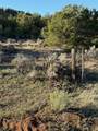 TRD Nm 96 - Photo 40