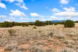 146 Wildhorse - Photo 10