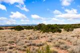 146 Wildhorse - Photo 13