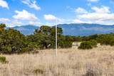 146 Wildhorse - Photo 15
