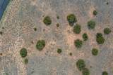 146 Wildhorse - Photo 5