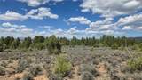 XX County Rd 339A - Photo 7