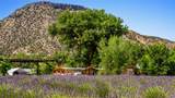 PURPLE ADOBE LAVENDE Farm 25 Private Drive  1622 - Photo 1