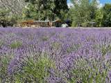 PURPLE ADOBE LAVENDE Farm 25 Private Drive  1622 - Photo 10