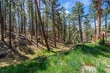 187 Trilobite Trail - Photo 46