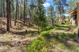 187 Trilobite Trail - Photo 47