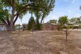 11 Walnut - Photo 31
