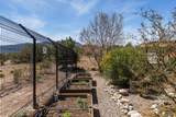 31 Sinagua - Photo 43