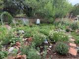2107 Calle Tecolote - Photo 28