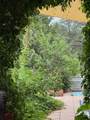 2107 Calle Tecolote - Photo 29