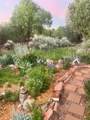 2107 Calle Tecolote - Photo 44