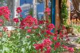 1209 Vitalia - Photo 6