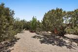3 Moya Loop - Photo 34