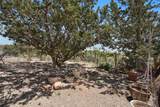 3 Moya Loop - Photo 43