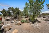 3 Moya Loop - Photo 45