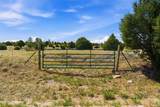 15.22 Acres County Road 75 - Photo 1