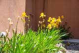 74 El Sitio - Photo 52