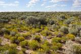 XX Rim Road Cb-115 (Parcel B Rancho Sabina Desgeorges - Photo 2