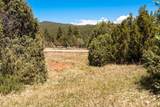 113 Avenida Ponderosa - Photo 33