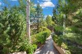 1114 Camino San Acacio - Photo 42