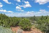 1114 Camino San Acacio - Photo 45