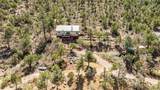 1499 San Diego Loop - Photo 31