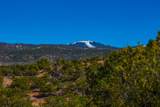 3 Lots Canon Escondido - Photo 41