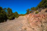 3 Lots Canon Escondido - Photo 44