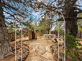 2116 Avenida De Las Alturas - Photo 13