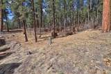831 Sulphur Creek Road - Photo 47