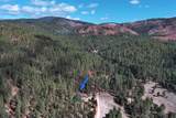 831 Sulphur Creek Road - Photo 51