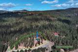 831 Sulphur Creek Road - Photo 52