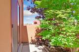 605 Avenida Colima - Photo 25