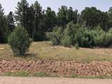 000 Silver Feather Trail - Photo 2