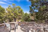 1006 Calle Catalina - Photo 3