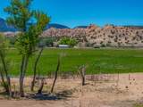 20590 Us Hwy 84 - Photo 16