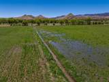 20590 Us Hwy 84 - Photo 23