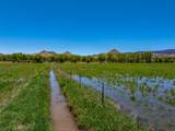 20590 Us Hwy 84 - Photo 5